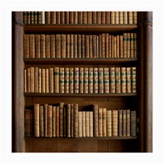 Books Bookcase Old Books Historical Medium Glasses Cloth by Amaryn4rt