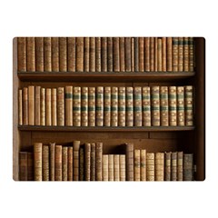 Books Bookcase Old Books Historical Double Sided Flano Blanket (mini)  by Amaryn4rt