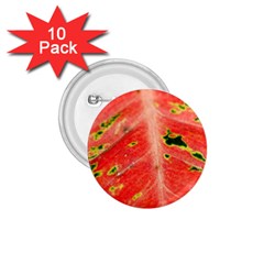 Aglonema Leaf Plant Pattern Flora 1 75  Buttons (10 Pack) by Amaryn4rt