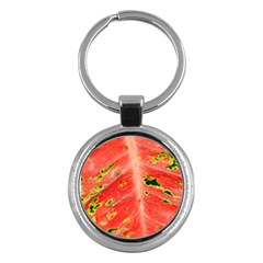 Aglonema Leaf Plant Pattern Flora Key Chain (round)