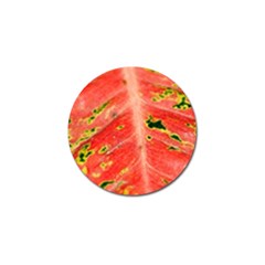 Aglonema Leaf Plant Pattern Flora Golf Ball Marker (4 Pack) by Amaryn4rt