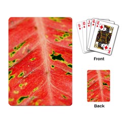 Aglonema Leaf Plant Pattern Flora Playing Cards Single Design (rectangle) by Amaryn4rt