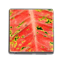 Aglonema Leaf Plant Pattern Flora Memory Card Reader (square 5 Slot) by Amaryn4rt