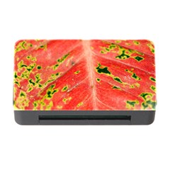 Aglonema Leaf Plant Pattern Flora Memory Card Reader With Cf by Amaryn4rt