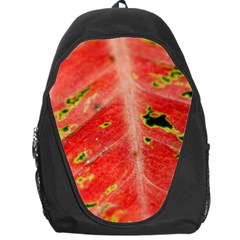 Aglonema Leaf Plant Pattern Flora Backpack Bag by Amaryn4rt