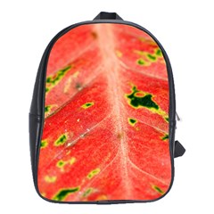 Aglonema Leaf Plant Pattern Flora School Bag (xl) by Amaryn4rt