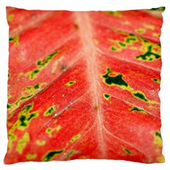 Aglonema Leaf Plant Pattern Flora Standard Flano Cushion Case (one Side) by Amaryn4rt