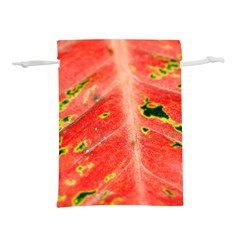 Aglonema Leaf Plant Pattern Flora Lightweight Drawstring Pouch (l) by Amaryn4rt