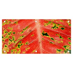 Aglonema Leaf Plant Pattern Flora Banner And Sign 6  X 3 