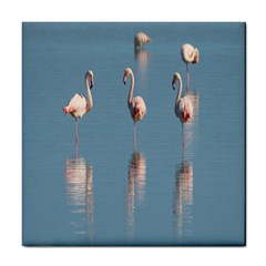 Flamingo Birds Plumage Sea Water Tile Coaster by artworkshop