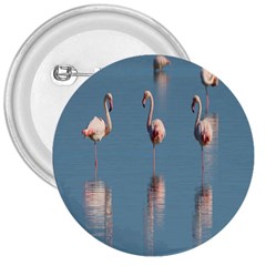 Flamingo Birds Plumage Sea Water 3  Buttons by artworkshop