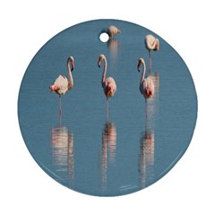 Flamingo Birds Plumage Sea Water Ornament (round) by artworkshop