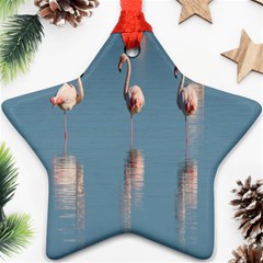 Flamingo Birds Plumage Sea Water Ornament (star) by artworkshop