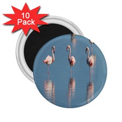 Flamingo Birds Plumage Sea Water 2 25  Magnets (10 Pack)  by artworkshop