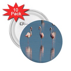 Flamingo Birds Plumage Sea Water 2 25  Buttons (10 Pack)  by artworkshop