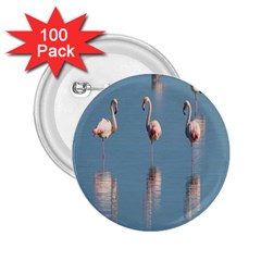 Flamingo Birds Plumage Sea Water 2 25  Buttons (100 Pack)  by artworkshop