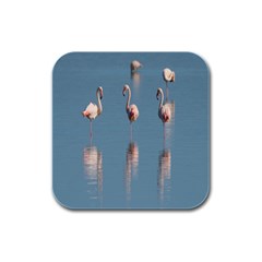 Flamingo Birds Plumage Sea Water Rubber Square Coaster (4 Pack) by artworkshop