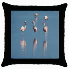 Flamingo Birds Plumage Sea Water Throw Pillow Case (black) by artworkshop