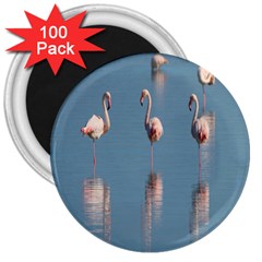 Flamingo Birds Plumage Sea Water 3  Magnets (100 Pack) by artworkshop