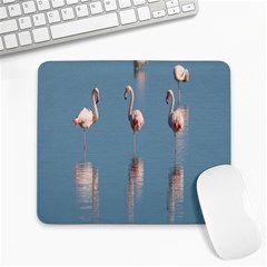 Flamingo Birds Plumage Sea Water Large Mousepads by artworkshop