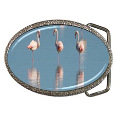 Flamingo Birds Plumage Sea Water Belt Buckles by artworkshop