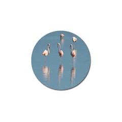 Flamingo Birds Plumage Sea Water Golf Ball Marker (4 Pack) by artworkshop