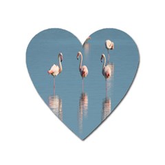 Flamingo Birds Plumage Sea Water Heart Magnet by artworkshop