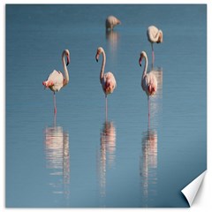 Flamingo Birds Plumage Sea Water Canvas 20  X 20  by artworkshop