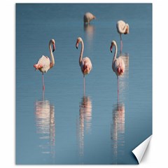 Flamingo Birds Plumage Sea Water Canvas 20  X 24  by artworkshop