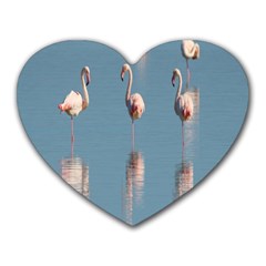 Flamingo Birds Plumage Sea Water Heart Mousepads by artworkshop