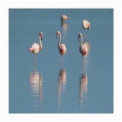 Flamingo Birds Plumage Sea Water Medium Glasses Cloth by artworkshop