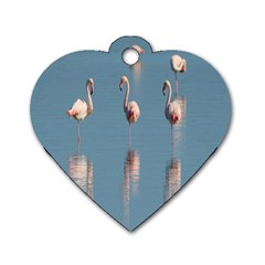 Flamingo Birds Plumage Sea Water Dog Tag Heart (two Sides) by artworkshop