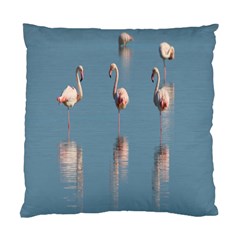 Flamingo Birds Plumage Sea Water Standard Cushion Case (one Side) by artworkshop