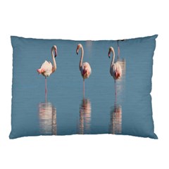 Flamingo Birds Plumage Sea Water Pillow Case by artworkshop