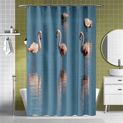 Flamingo Birds Plumage Sea Water Shower Curtain 48  X 72  (small)  by artworkshop