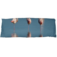 Flamingo Birds Plumage Sea Water Body Pillow Case Dakimakura (two Sides) by artworkshop