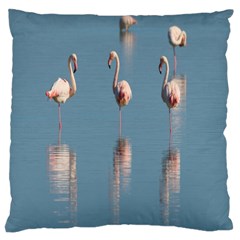 Flamingo Birds Plumage Sea Water Large Cushion Case (two Sides) by artworkshop