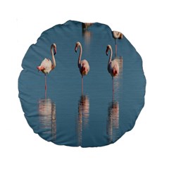 Flamingo Birds Plumage Sea Water Standard 15  Premium Round Cushions by artworkshop