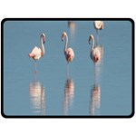 Flamingo Birds Plumage Sea Water Double Sided Fleece Blanket (Large)  80 x60  Blanket Front