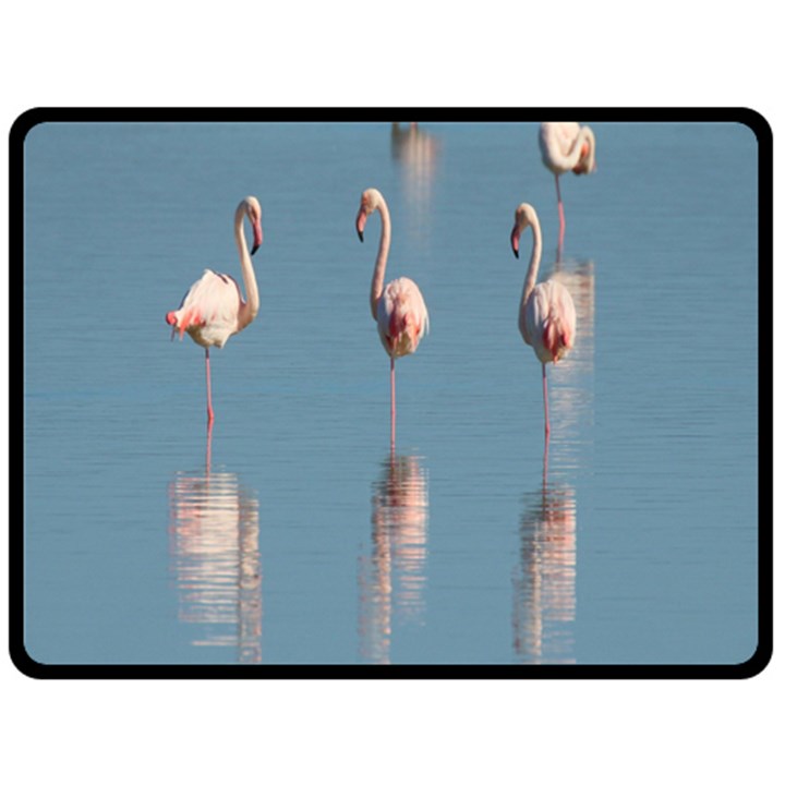 Flamingo Birds Plumage Sea Water Double Sided Fleece Blanket (Large) 