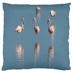 Flamingo Birds Plumage Sea Water Large Flano Cushion Case (two Sides) by artworkshop