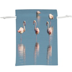 Flamingo Birds Plumage Sea Water  Lightweight Drawstring Pouch (xl) by artworkshop