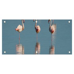 Flamingo Birds Plumage Sea Water Banner And Sign 6  X 3  by artworkshop