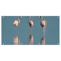 Flamingo Birds Plumage Sea Water Banner And Sign 8  X 4  by artworkshop