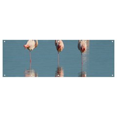 Flamingo Birds Plumage Sea Water Banner And Sign 12  X 4  by artworkshop