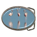 Flamingo Birds Plumage Sea Water Animal Exotic Belt Buckles Front