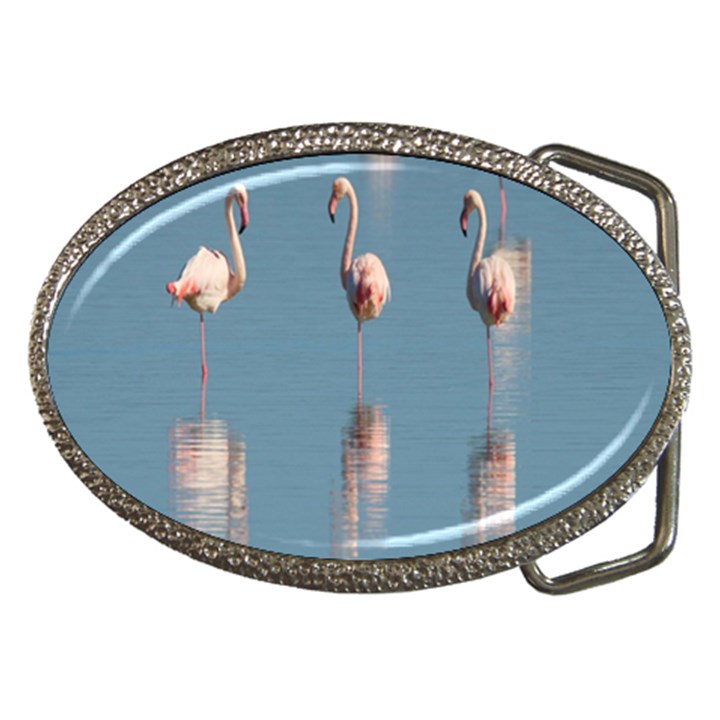 Flamingo Birds Plumage Sea Water Animal Exotic Belt Buckles