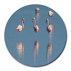 Flamingo Birds Plumage Sea Water Animal Exotic Round Mousepads by artworkshop