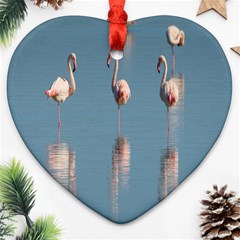 Flamingo Birds Plumage Sea Water Animal Exotic Ornament (heart) by artworkshop