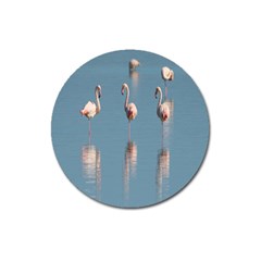 Flamingo Birds Plumage Sea Water Animal Exotic Magnet 3  (round) by artworkshop